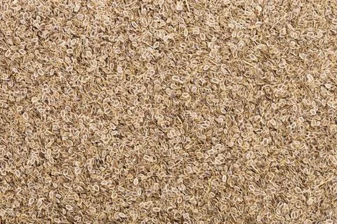 Fennel seeds Stock Photos