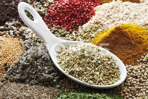 Fennel seeds in porcelain spoon on assorted spices Stock Photos