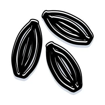 Fennel seeds spice ingredient vector illustration 库存插图