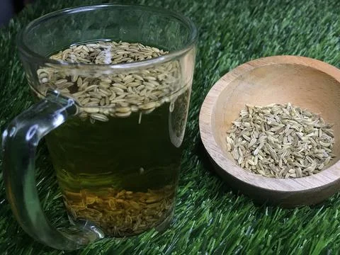 Fennel Tea 写真素材