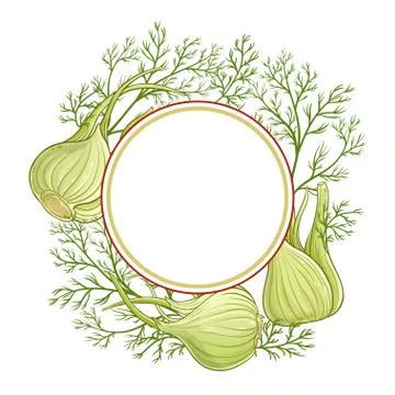 Fennel vector  frame Illustrazione stock