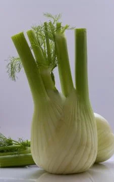 Fennel on a white background . Stock Photos