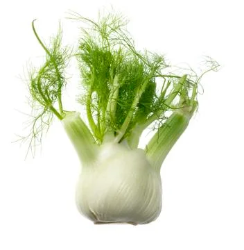 Fennel on white background Stock Photos