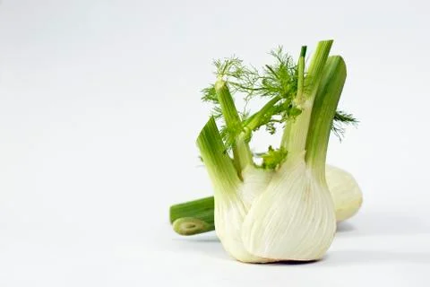 Fennel on white ground Stock Photos