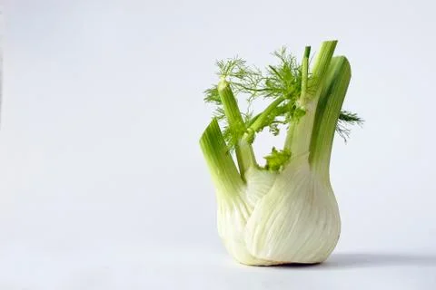 Fennel on white ground Stock Photos