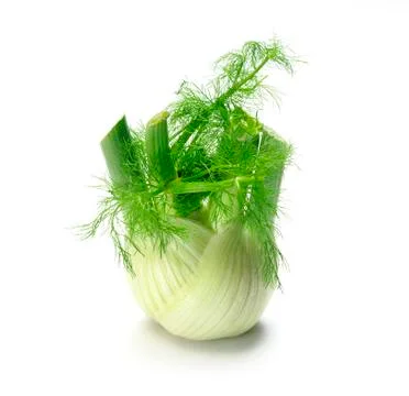 Fennel on white. Stock Photos