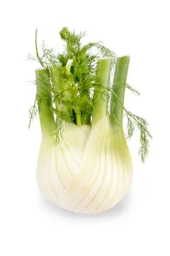 Fennel on white Stock Photos