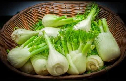 Fennels group - vegetables background Stock Photos