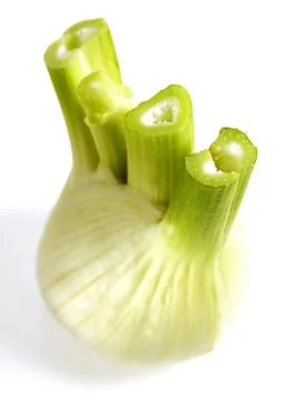 FENOUIL Stock Photos