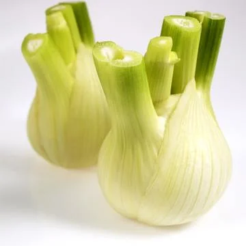 FENOUIL Stock Photos