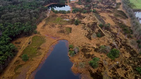 The fen's of the Oude Buisse Heide fly over Stock Footage 168906252