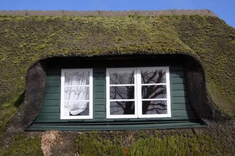 Fenster in einem bemoosten Reetdach Foto stock