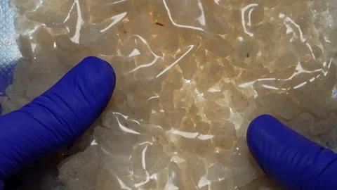 Fentanyl or meth is widely used stimulant in current drug trend. Methamphet.. Stock Footage 341142727