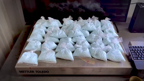 Fentanyl pills seized by U.S. Custom and Border Protection officers Stock Footage 270914799