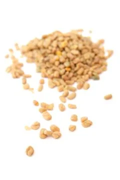 Fenugreek Stock Photos