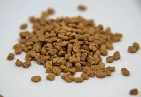 Fenugreek Stock Photos