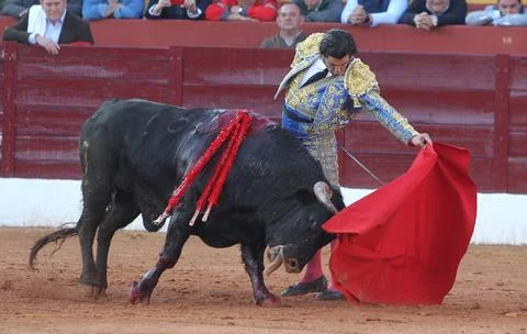 Feria Taurina de Olivenza bullfighting in Badajoz, Spain - 08 Mar 2020 Stock Photos