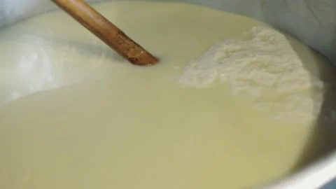 Fermentation and aging of handmade cheese wheels Stock Footage 307136345