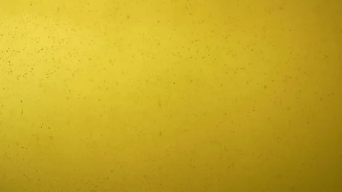 Fermentation of beer Stock Footage 81047088