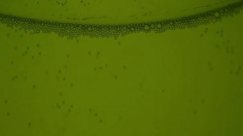 Fermentation of beer. gas bubbles go up Stock Footage 81047132