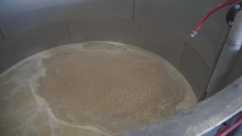 Fermentation of Bourbon Beer Whiskey Stock Footage 240028234
