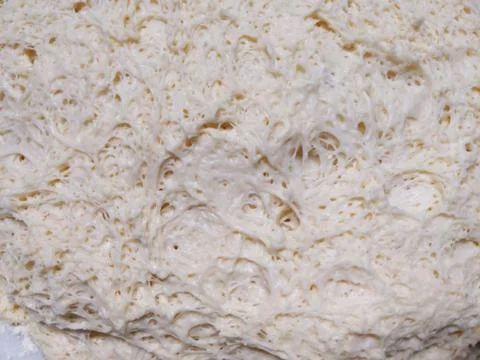 Fermentation on bread dough Stock Photos