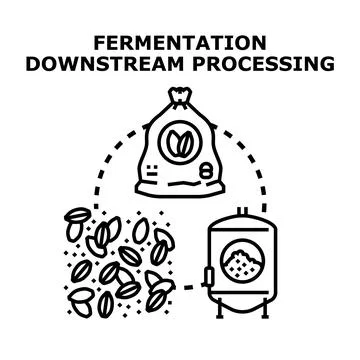 Fermentation downstream processing stages and equipment icon Stock Illustration
