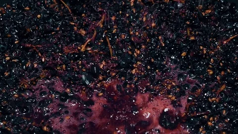 Fermentation of grapes in a winery close up Stock Footage 120529459