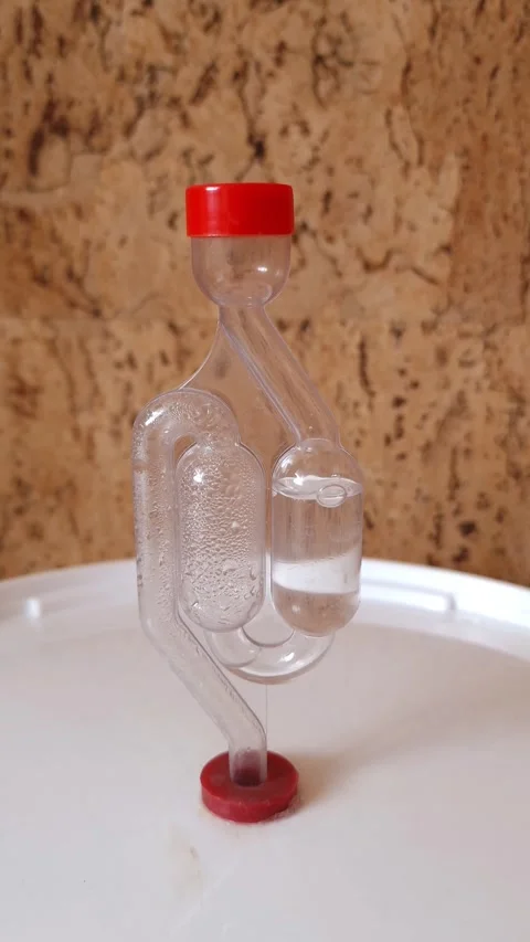 Fermentation Lock in a Scientific Experiment Stock Footage 308738066