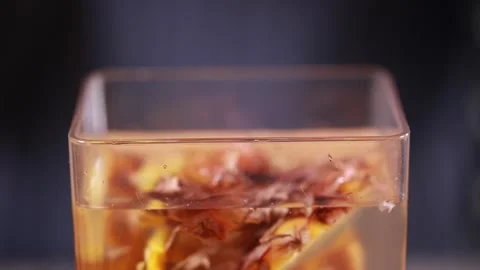 Fermentation of pineapple peel for enzyme production (1) Stock Footage 202155727