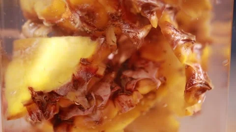 Fermentation of pineapple peel for enzyme production (4) Stock Footage 202155729
