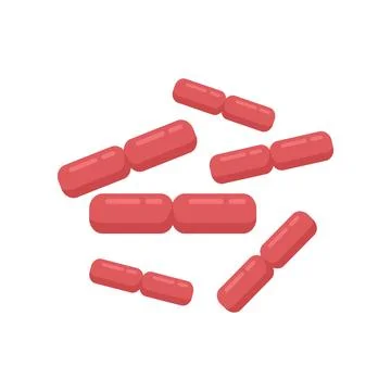 Fermentation probiotic icon flat vector. Gut bacteria イラスト素材