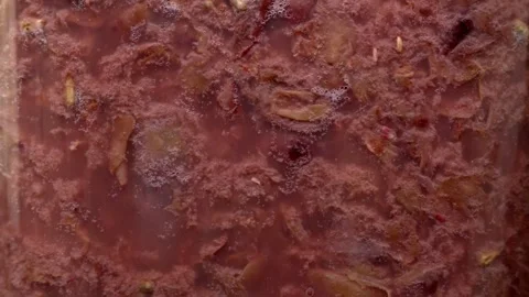 Fermentation process of red wine must close up Stock Footage 331558100