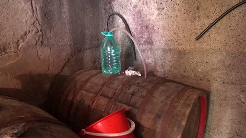 Fermentation process of traditional artisanal wine in an oak barrel Stock Footage 69782934