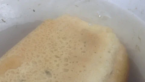 Fermentation of white square Bread with Air bubbles in water Stock Footage 106364242