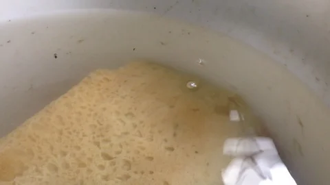 Fermentation of white square Bread with Air bubbles in water &amp; Lamp reflection 2 Stock Footage 106364244