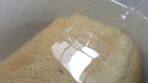 Fermentation of white square Bread with Air bubbles in water and Lamp reflection Video stock 106364251