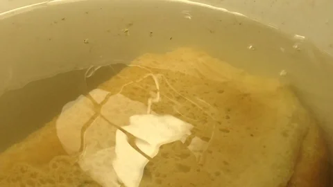 Fermentation of white square Bread with Air bubbles in water &amp; Lamp reflection Stock Footage 106364255