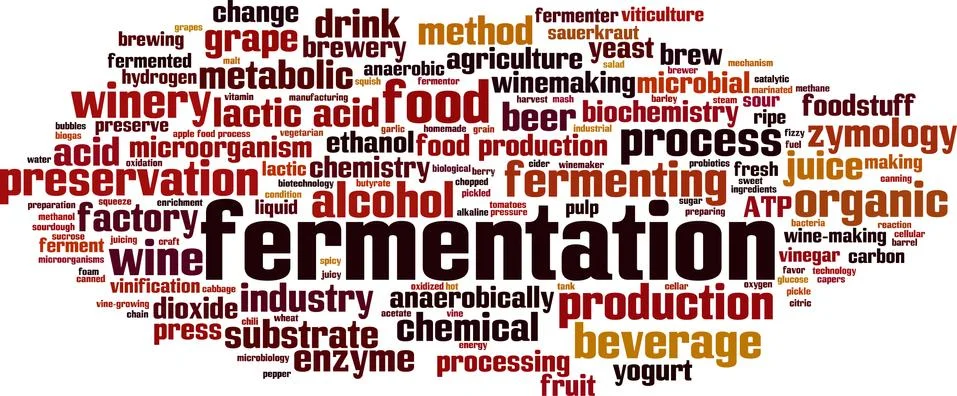 Fermentation word cloud Illustrazione stock