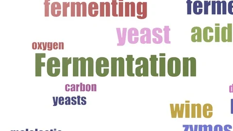Fermentation Wordcloud Animated Isolated On White Vídeos de archivo 103097947
