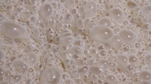 Fermentation of yeast ferment close up