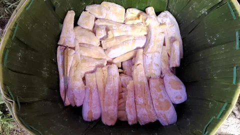 Fermented Cassava Stock Footage 326702808