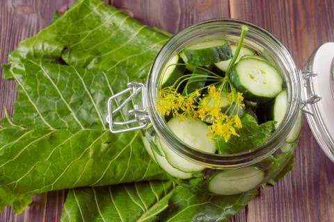 Fermented homemade vegetables Stock Photos