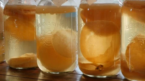 Fermented Kombucha in Jars with SCOBYs Video stock 119993404