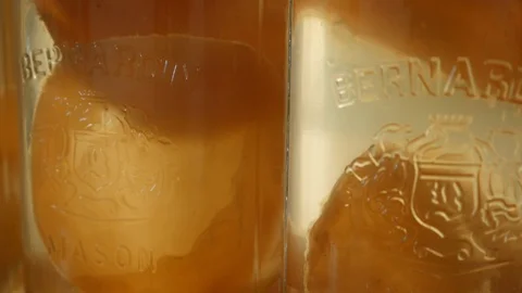 Fermented Kombucha SCOBYs in Jar Video stock 119994519