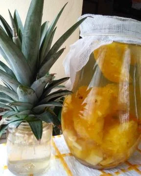 Fermented pineapple brew Stock Photos