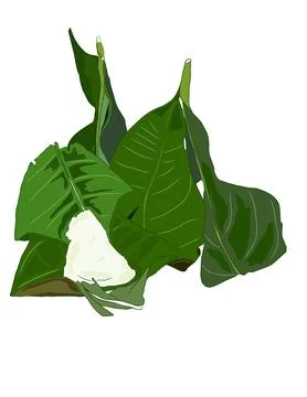 Fermented rice Stock Illustration