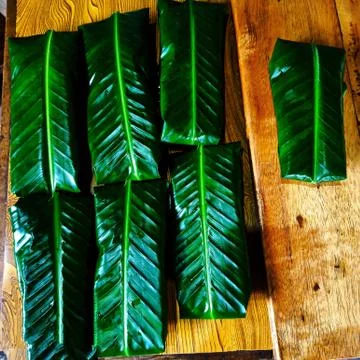 Fermented soya Foto stock