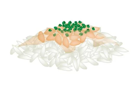 Fermented Soybean Natto with Spring Onion on Rice Stock Illustration