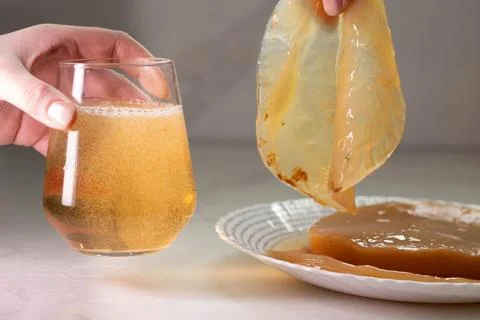 Fermented Tea and SCOBY A Guide to the Preparation of Your Own Kombucha Bev.. Stock Photos